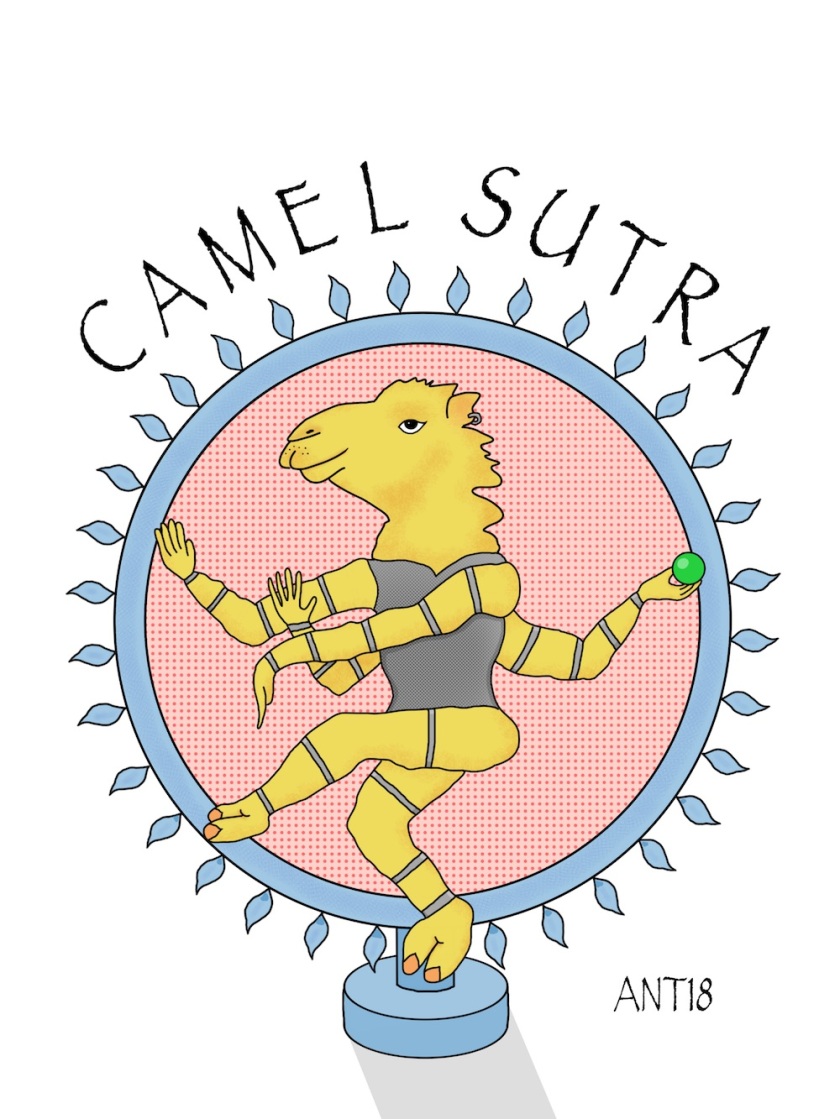 Camel Sutra